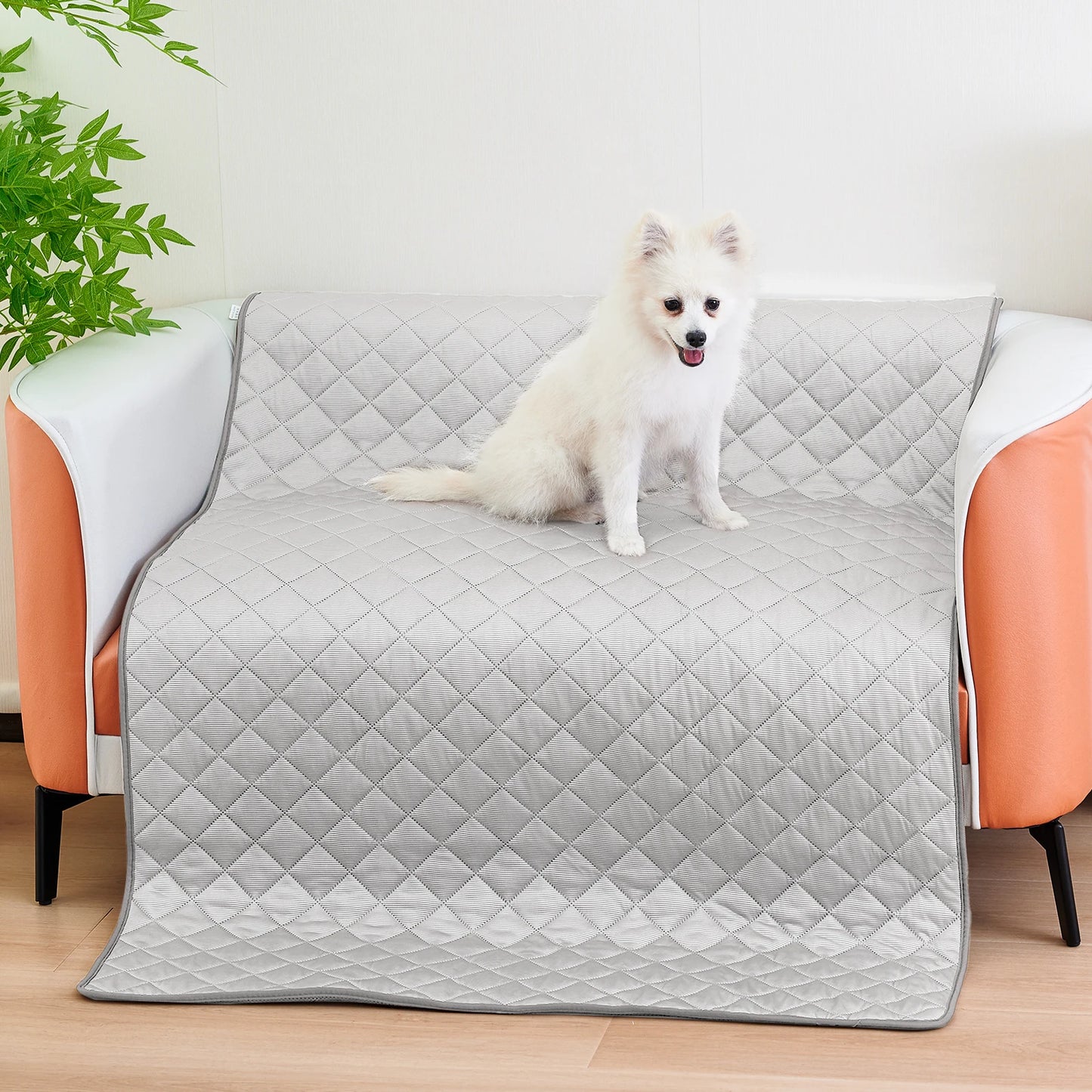 Pet Ice Mats - Motionshop