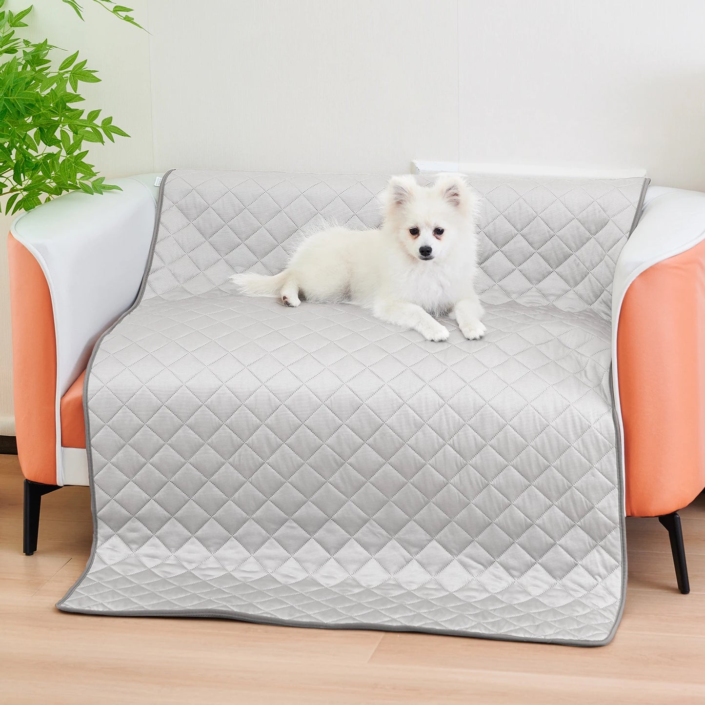 Pet Ice Mats - Motionshop