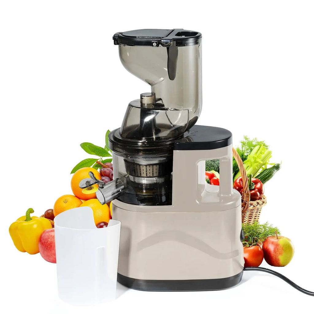 500W Multifunctional Juicer Cold Press Household Residue Separation Large Caliber Fruit and Vegetable Juice Extractor