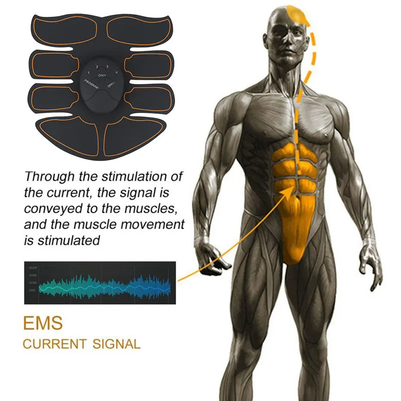 Electric Muscle Stimulator EMS - Motionshop
