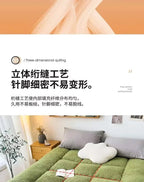 Mattress Topper Warm Lamb Fleece Mattress Upholstered Bed Winter Student Dormitory Sleeping Pad Single Double Floor Mat