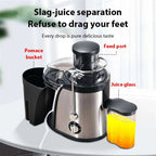 Heavy-Duty Juicer Machine Juicer With 3-Inch Big Mouth For Whole Fruits And Vegetables Juice Centrifuge with 2 Speed Settings
