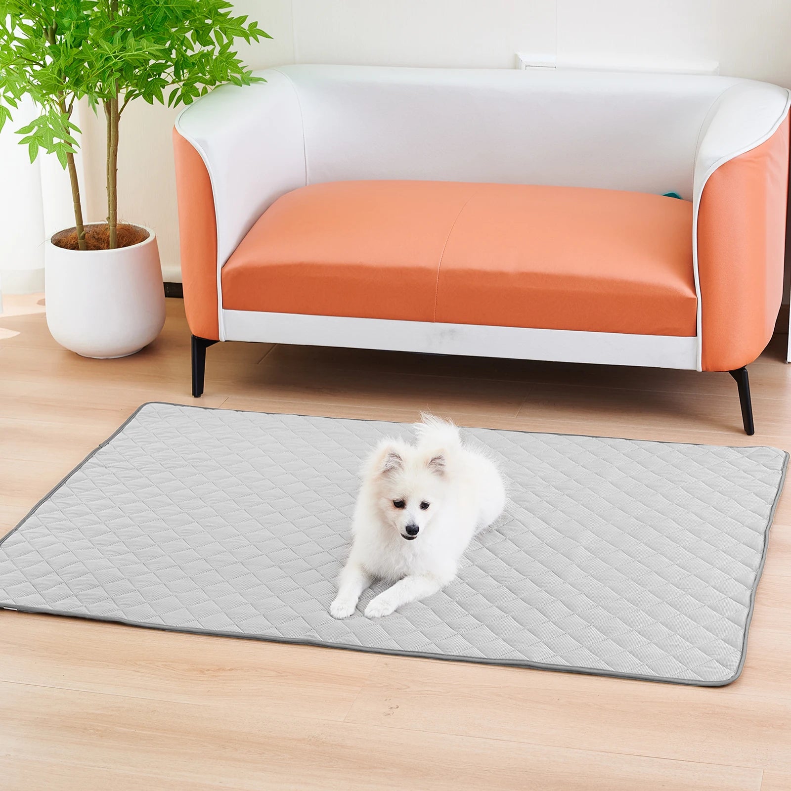 Pet Ice Mats - Motionshop