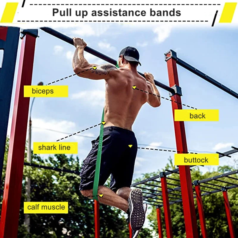 Portable Resistance Band Set – FlexFit Home &amp; Travel Fitness | Motionshop - Motionshop